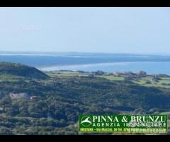 SANTA CATERINA - Terreno Casale PREZZO RIBASSATO - 12