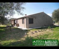 RIOLA SARDO Tenuta Agricola OLIVI Recinzione total