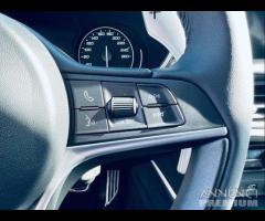 ALFA ROMEO Stelvio 2.2 Turbodiesel 190 CV AT8 Q4 - 8