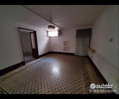 Indipendente con giardino - 22