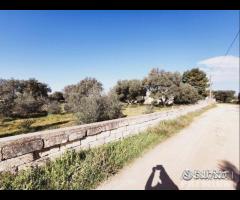 Terreno in zona residenziale