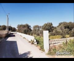 Terreno in zona residenziale