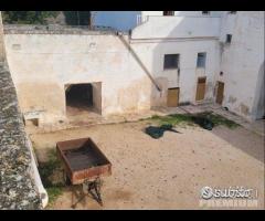 Masseria genzano - 6