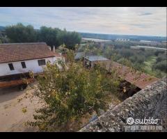 Masseria genzano - 8