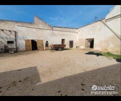 Masseria genzano - 12