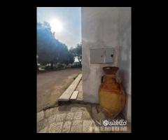 Masseria genzano - 14