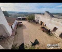 Masseria genzano - 15