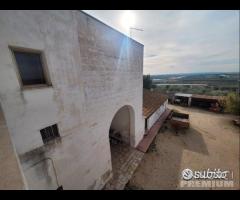 Masseria genzano - 16