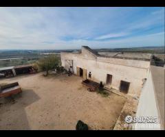 Masseria genzano - 17