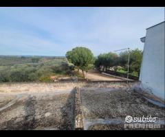 Masseria genzano - 19