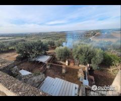 Masseria genzano - 20