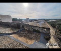 Masseria genzano - 22