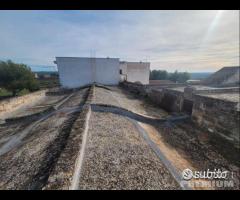 Masseria genzano - 23