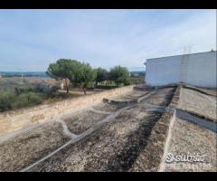 Masseria genzano - 24