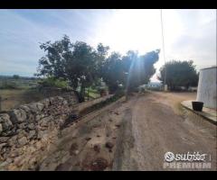 Masseria genzano - 25