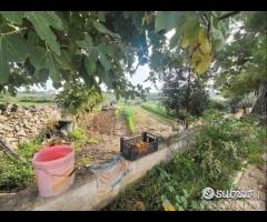 Masseria genzano - 29