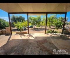 Casetta con terreno - 7