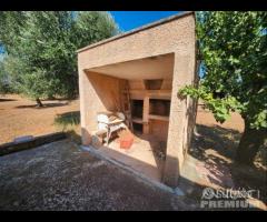 Casetta con terreno - 15