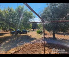 Casetta con terreno - 19