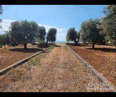 Casetta con terreno - 20