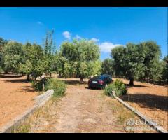 Casetta con terreno - 21