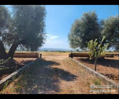 Casetta con terreno - 22