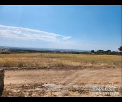 Casetta con terreno - 23