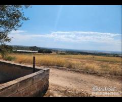 Casetta con terreno - 24