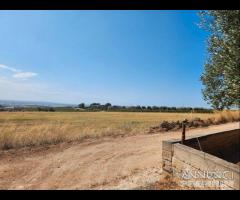 Casetta con terreno - 25