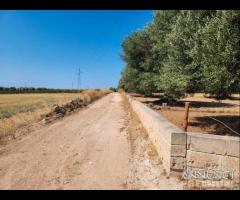 Casetta con terreno - 26