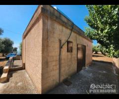 Casetta con terreno - 29