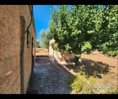 Casetta con terreno - 30