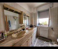 Indipendente terra cielo - 17