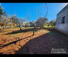 Terreno con vano in località S. Barbato - 10