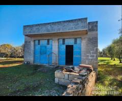 Terreno con vano in località S. Barbato - 12