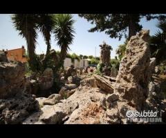 Proprietà con attivita' commerciale - 6