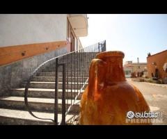 Proprietà con attivita' commerciale - 7