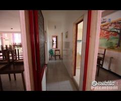 Proprietà con attivita' commerciale - 14