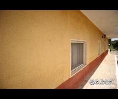 Proprietà con attivita' commerciale - 18