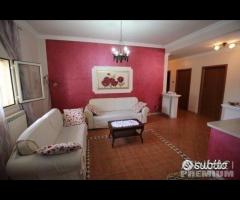 Proprietà con attivita' commerciale - 27