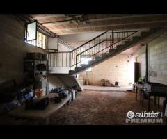 Proprietà con attivita' commerciale - 30