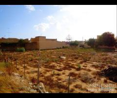 Triscina terreno edificabile 1770 mq