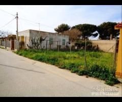 Triscina terreno edificabile 400 mq c.ca - 14