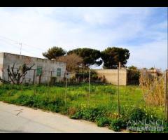 Triscina terreno edificabile 400 mq c.ca - 15