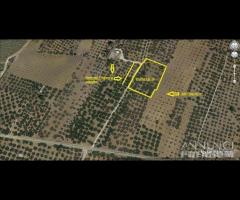 Castelvetrano terreno agricolo con magazzino rura - 16