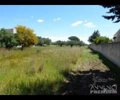 Selinunte terreno edificabile 8000mq - 6