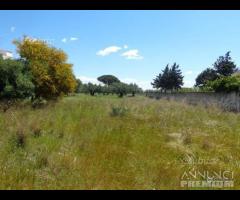 Selinunte terreno edificabile 8000mq - 8