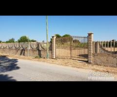 Triscina terreno edificabile 4750 fronte strada