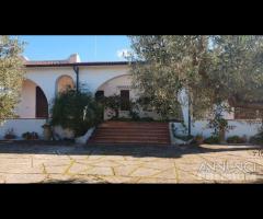 Selinunte villa immerse nel verde con vista templ - 6