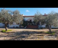 Selinunte villa immerse nel verde con vista templ - 7